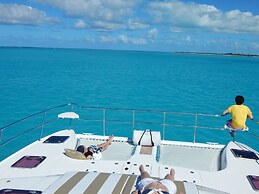The White House TCI