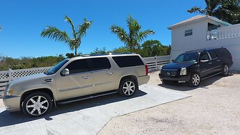 The White House TCI