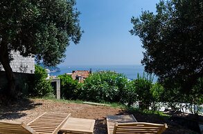 Guesthouse Oliva