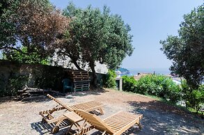 Guesthouse Oliva