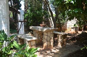 Dal Canonico