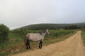 Masia Heredad La Boquilla