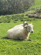 Coombeshead Farm