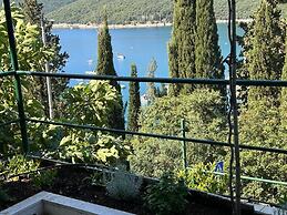 Apartment 650