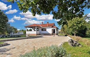 Apartment 1561
