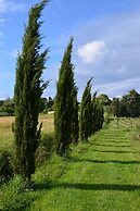 Al Podere di Rosa