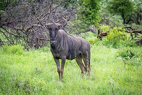Tangala Safari Camp