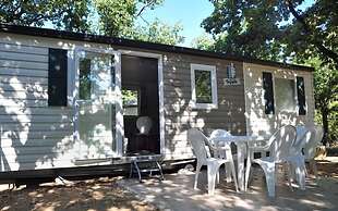 Balanea - Campsite