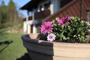 Bed & Breakfast La Pecora Nera