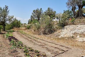Villa Ca na Roseta