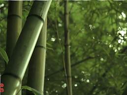 Ryokan Nanakamado
