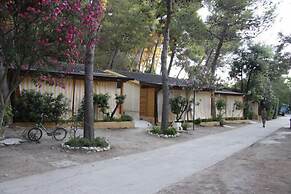Baia Calenella