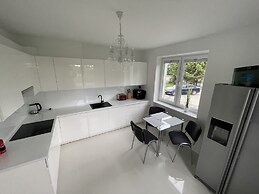 Modern House with Garden