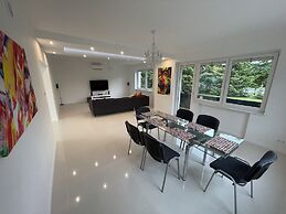 Modern House with Garden