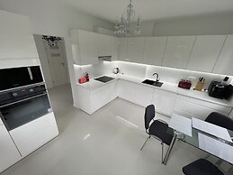 Modern House with Garden