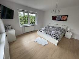 Modern House with Garden