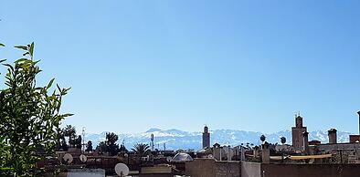 Riad Bilkis
