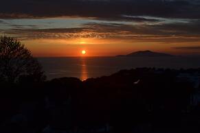 The Sunset