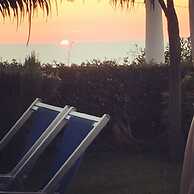 The Sunset