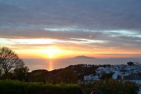 The Sunset