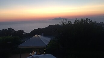The Sunset