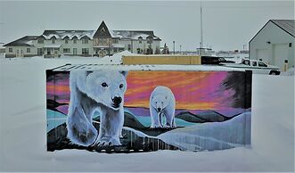 Iceberg Inn