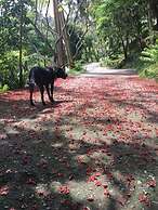 Juhu Farmstay
