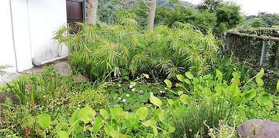 Juhu Farmstay