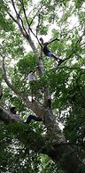 Juhu Farmstay