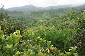 Juhu Farmstay