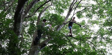 Juhu Farmstay