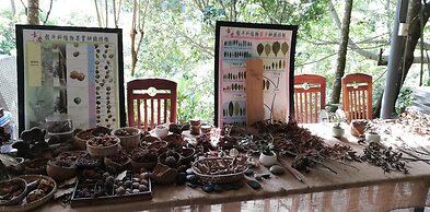 Juhu Farmstay
