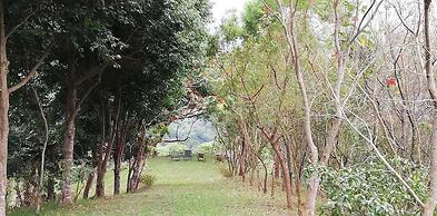 Juhu Farmstay