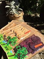 Juhu Farmstay