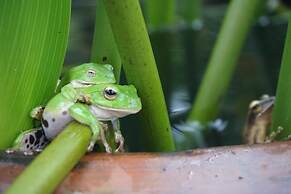 Juhu Farmstay