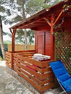 Vacanze Villa Carla
