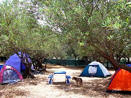 Camping Ciauli