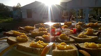 Camping Ciauli