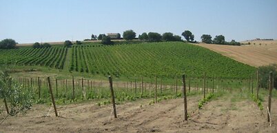 I Tre Filari