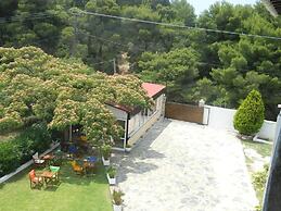 Asteri Studio's
