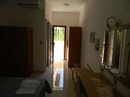 Asteri Studio's