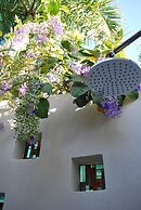 Casa Frangipani