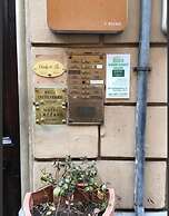 Zidan Guest House