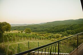Vila Dintre Vii
