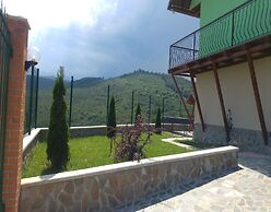 Vila Dintre Vii