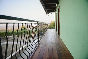 Vila Dintre Vii