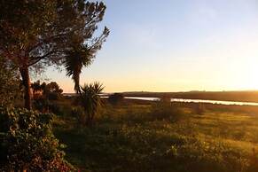 Akivillas Tavira Pine