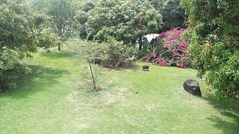 Ray Choc Bay Lodge