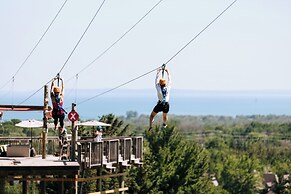 Blue Mountain Resort Home Collection
