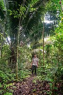 Heimatlos Rainforest Lodge